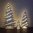 Birch wood Christmas Tree h.70 with stars - MADE IN ITALY -