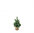 GREEN PINE TREE with led lights - with battery -